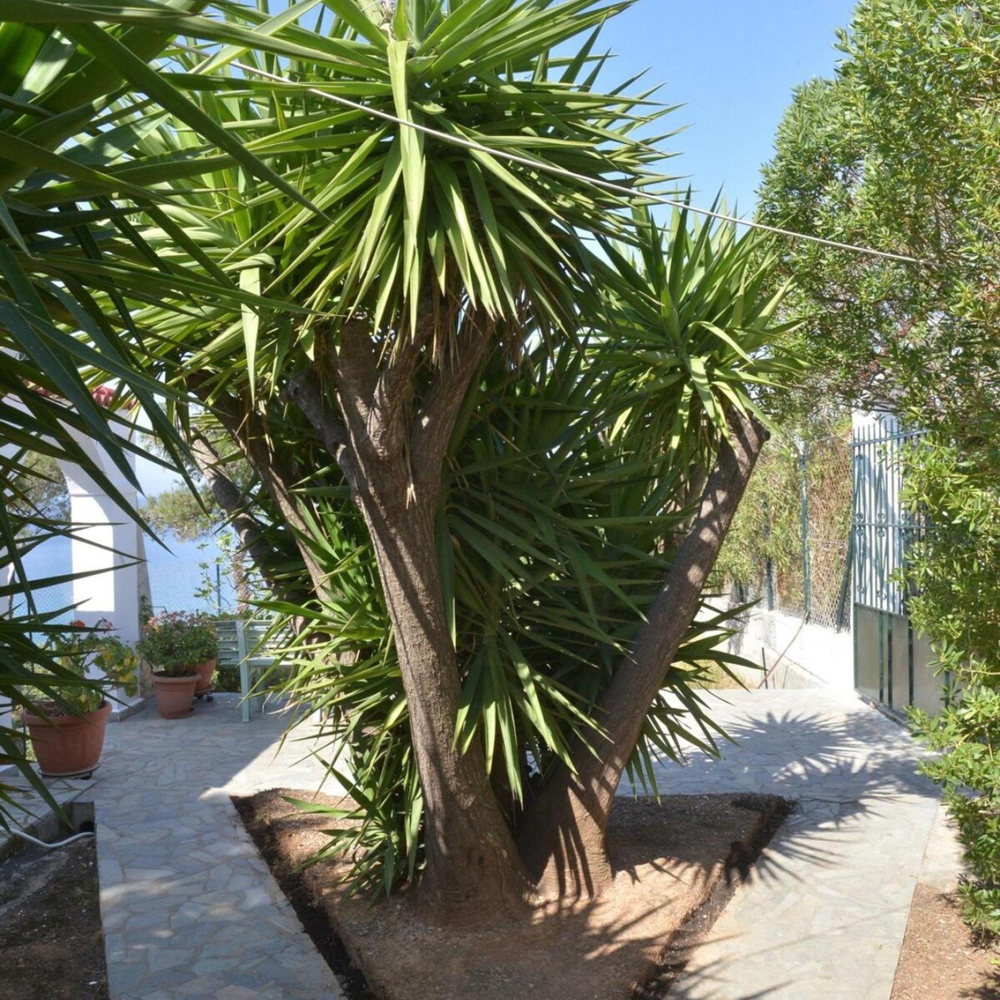 Salamis Beachfront House Extérieur photo